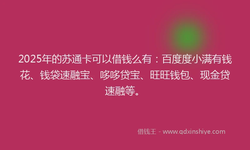 2025年的苏通卡可以借钱么有：百度度小满有钱花、钱袋速融宝、哆哆贷宝、旺旺钱包、现金贷速融等。