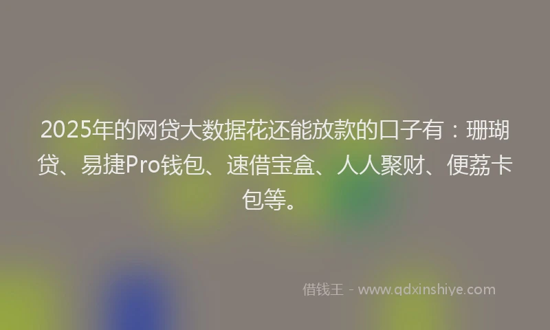 2025年的网贷大数据花还能放款的口子有：珊瑚贷、易捷Pro钱包、速借宝盒、人人聚财、便荔卡包等。