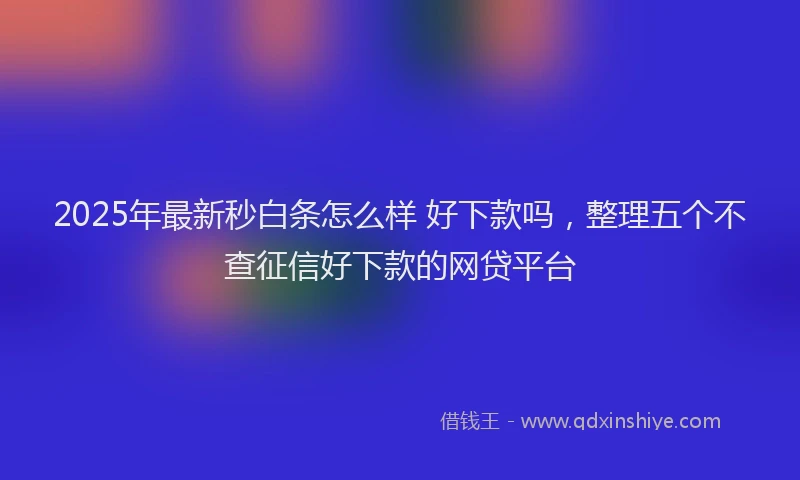 2025年最新秒白条怎么样 好下款吗，整理五个不查征信好下款的网贷平台