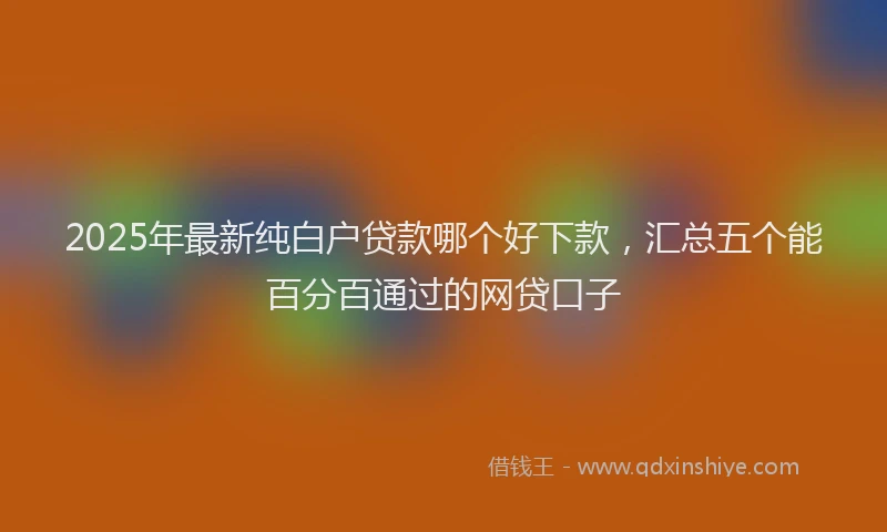 2025年最新纯白户贷款哪个好下款，汇总五个能百分百通过的网贷口子