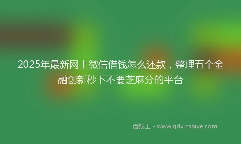 2025年最新网上微信借钱怎么还款，整理五个金融创新秒下不要芝麻分的平台