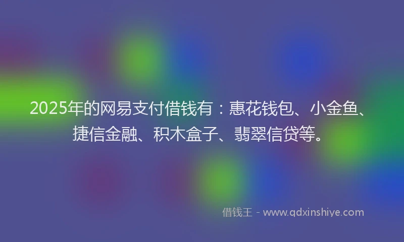 2025年的网易支付借钱有：惠花钱包、小金鱼、捷信金融、积木盒子、翡翠信贷等。