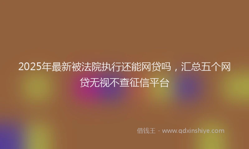 2025年最新被法院执行还能网贷吗，汇总五个网贷无视不查征信平台