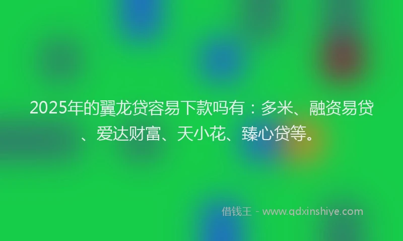 2025年的翼龙贷容易下款吗有：多米、融资易贷、爱达财富、天小花、臻心贷等。
