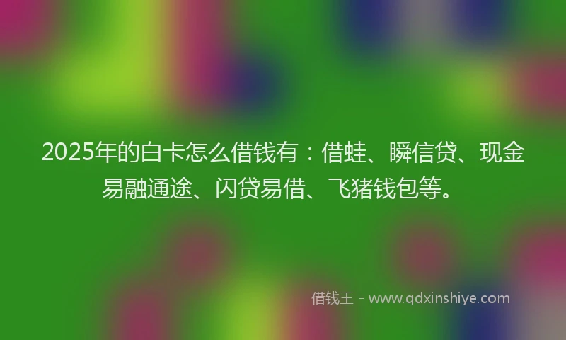 2025年的白卡怎么借钱有：借蛙、瞬信贷、现金易融通途、闪贷易借、飞猪钱包等。