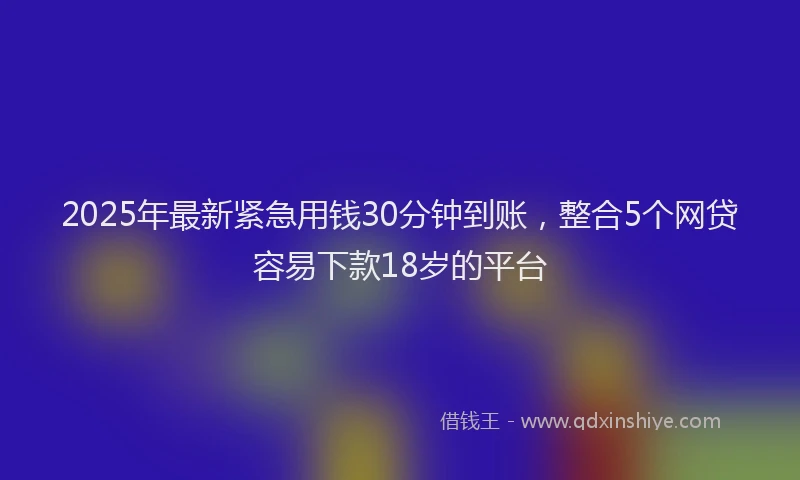 2025年最新紧急用钱30分钟到账，整合5个网贷容易下款18岁的平台