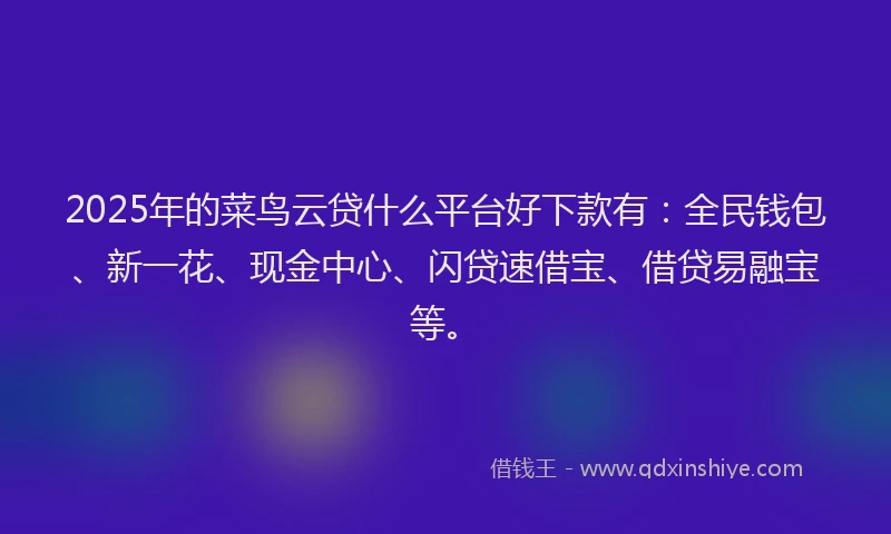 2025年的菜鸟云贷什么平台好下款有：全民钱包、新一花、现金中心、闪贷速借宝、借贷易融宝等。