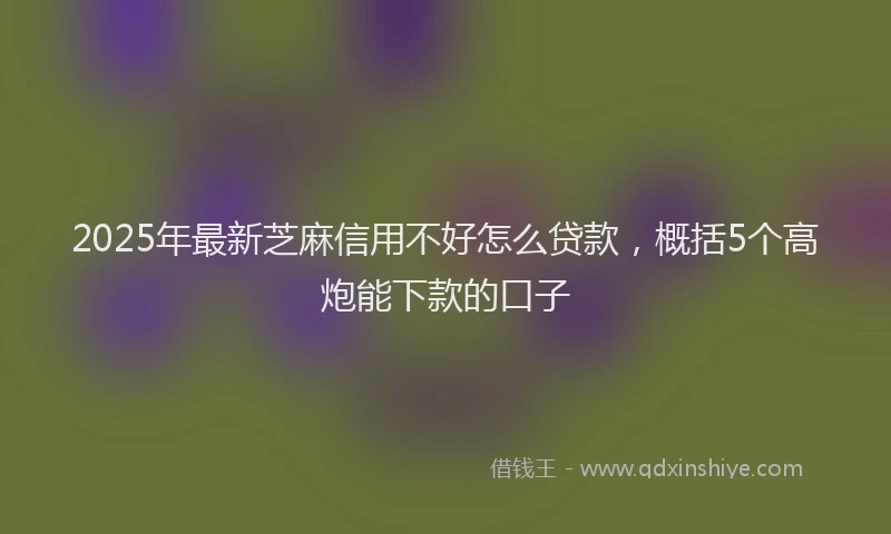 2025年最新芝麻信用不好怎么贷款，概括5个高炮能下款的口子