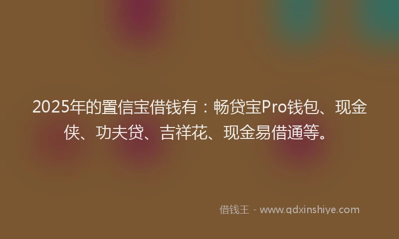 2025年的置信宝借钱有：畅贷宝Pro钱包、现金侠、功夫贷、吉祥花、现金易借通等。