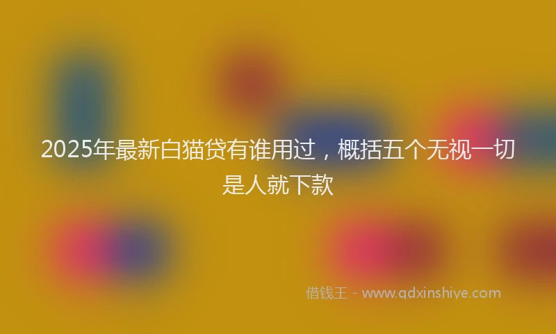2025年最新白猫贷有谁用过，概括五个无视一切是人就下款