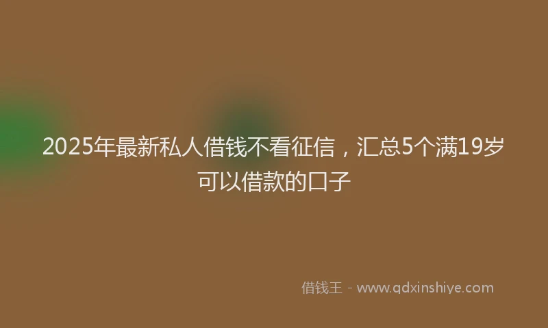 2025年最新私人借钱不看征信，汇总5个满19岁可以借款的口子