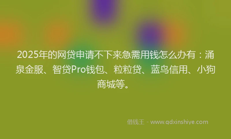 2025年的网贷申请不下来急需用钱怎么办有：涌泉金服、智贷Pro钱包、粒粒贷、蓝鸟信用、小狗商城等。