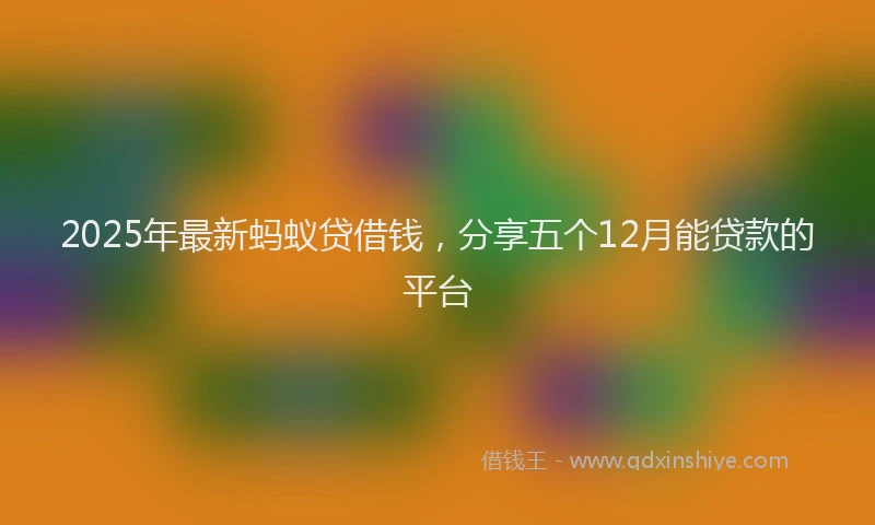 2025年最新蚂蚁贷借钱，分享五个12月能贷款的平台