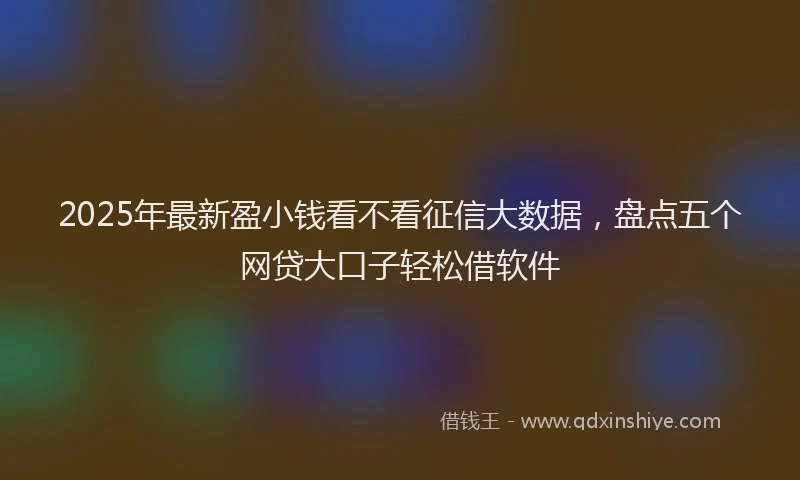 2025年最新盈小钱看不看征信大数据，盘点五个网贷大口子轻松借软件