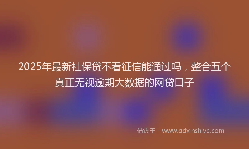 2025年最新社保贷不看征信能通过吗，整合五个真正无视逾期大数据的网贷口子