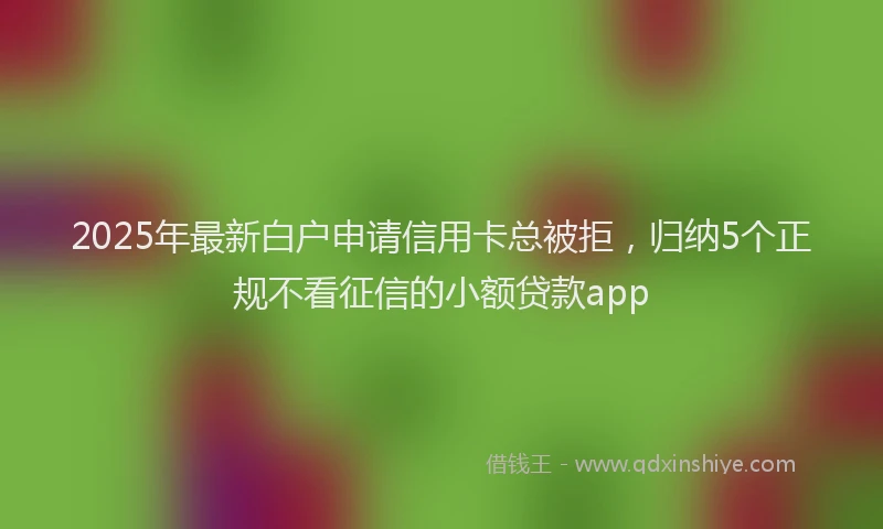 2025年最新白户申请信用卡总被拒，归纳5个正规不看征信的小额贷款app