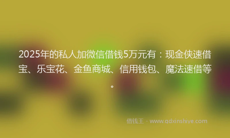 2025年的私人加微信借钱5万元有：现金侠速借宝、乐宝花、金鱼商城、信用钱包、魔法速借等。