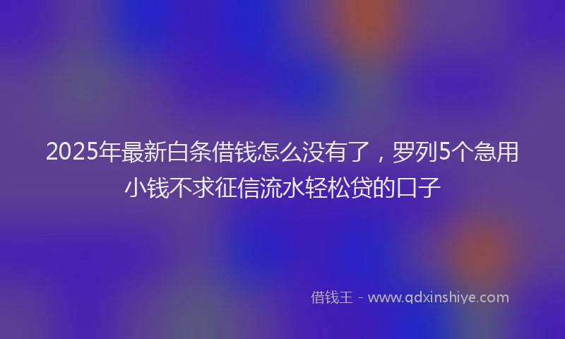 2025年最新白条借钱怎么没有了，罗列5个急用小钱不求征信流水轻松贷的口子