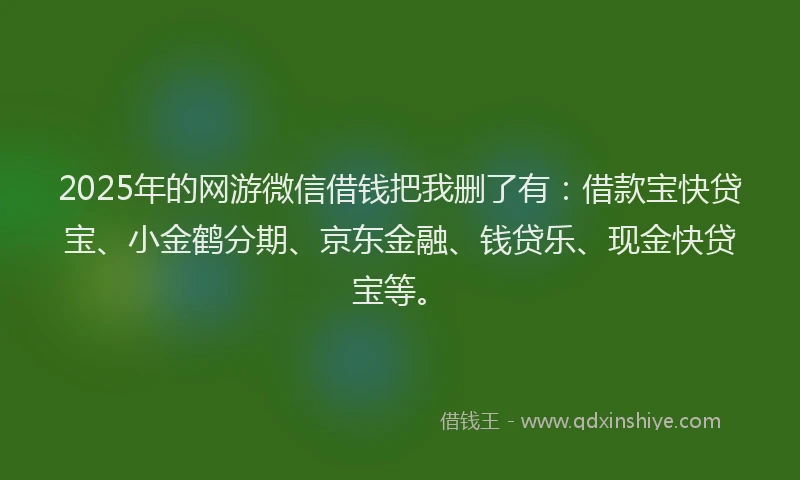 2025年的网游微信借钱把我删了有：借款宝快贷宝、小金鹤分期、京东金融、钱贷乐、现金快贷宝等。