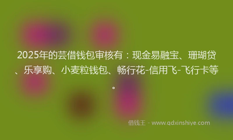 2025年的芸借钱包审核有：现金易融宝、珊瑚贷、乐享购、小麦粒钱包、畅行花-信用飞-飞行卡等。