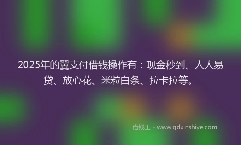 2025年的翼支付借钱操作有：现金秒到、人人易贷、放心花、米粒白条、拉卡拉等。