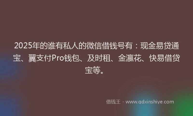 2025年的谁有私人的微信借钱号有：现金易贷通宝、翼支付Pro钱包、及时租、金瀛花、快易借贷宝等。