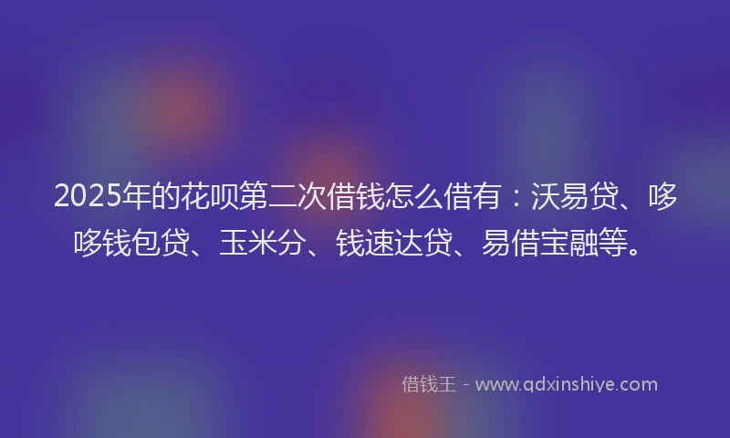 2025年的花呗第二次借钱怎么借有：沃易贷、哆哆钱包贷、玉米分、钱速达贷、易借宝融等。