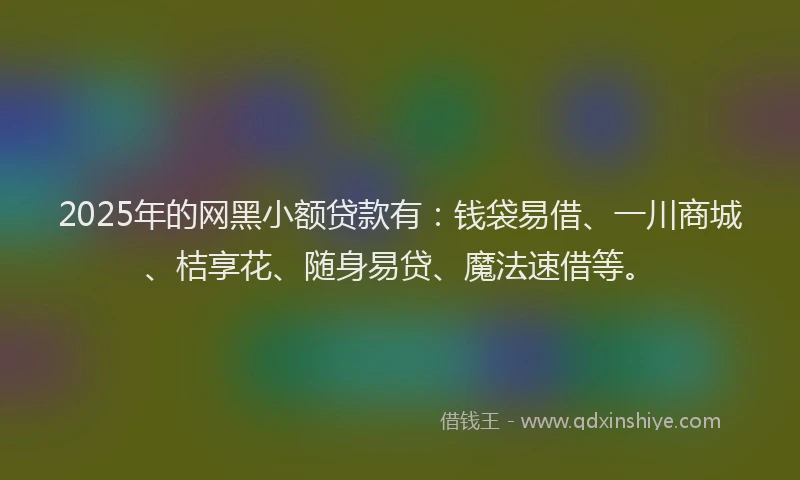 2025年的网黑小额贷款有：钱袋易借、一川商城、桔享花、随身易贷、魔法速借等。