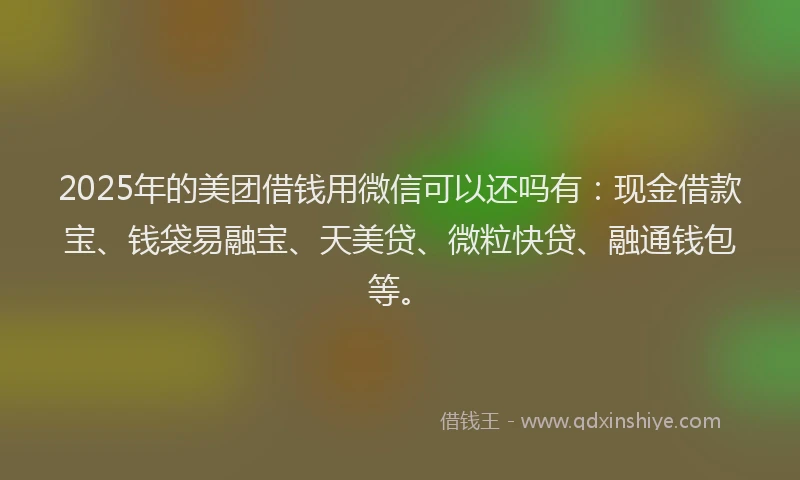 2025年的美团借钱用微信可以还吗有：现金借款宝、钱袋易融宝、天美贷、微粒快贷、融通钱包等。