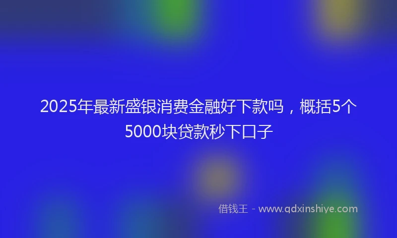 2025年最新盛银消费金融好下款吗，概括5个5000块贷款秒下口子