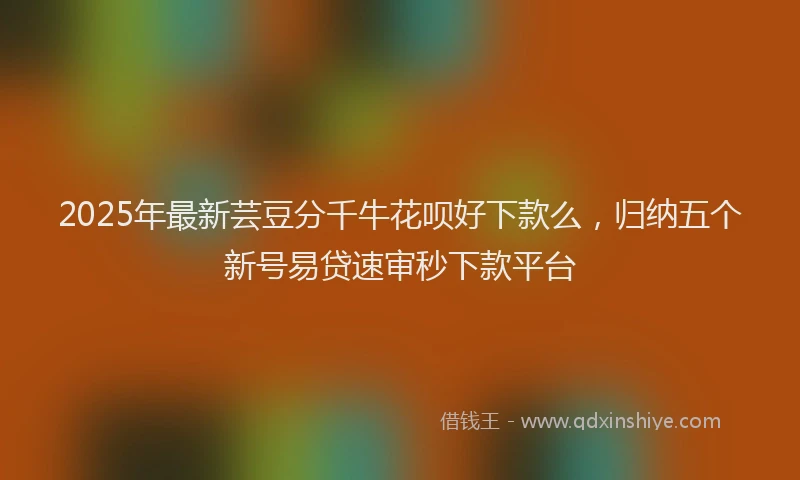 2025年最新芸豆分千牛花呗好下款么，归纳五个新号易贷速审秒下款平台