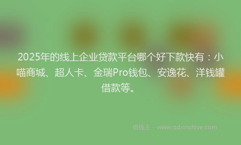2025年的线上企业贷款平台哪个好下款快有：小喵商城、超人卡、金瑞Pro钱包、安逸花、洋钱罐借款等。