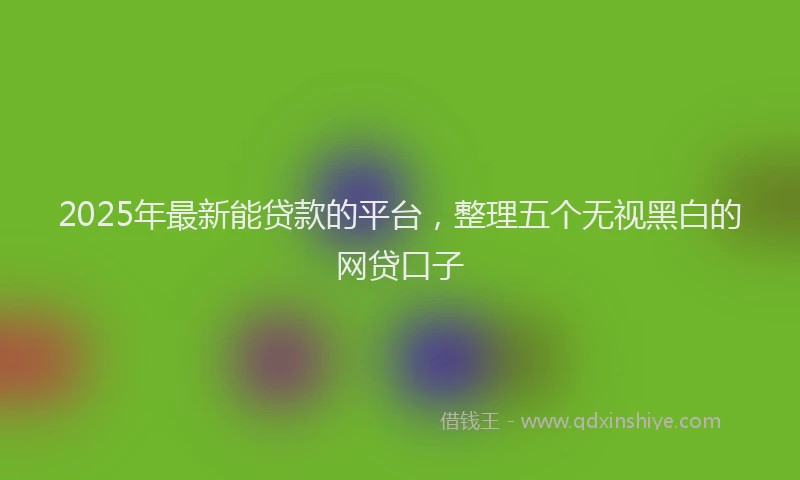 2025年最新能贷款的平台，整理五个无视黑白的网贷口子