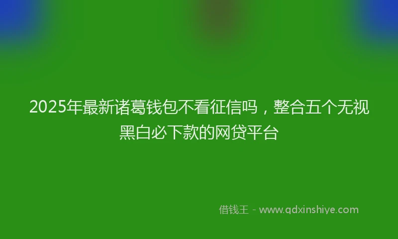 2025年最新诸葛钱包不看征信吗，整合五个无视黑白必下款的网贷平台