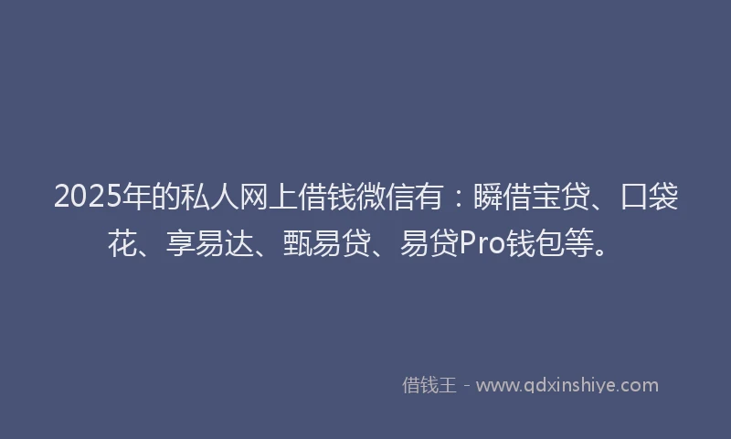 2025年的私人网上借钱微信有：瞬借宝贷、口袋花、享易达、甄易贷、易贷Pro钱包等。