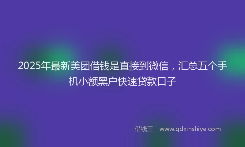 2025年最新美团借钱是直接到微信，汇总五个手机小额黑户快速贷款口子