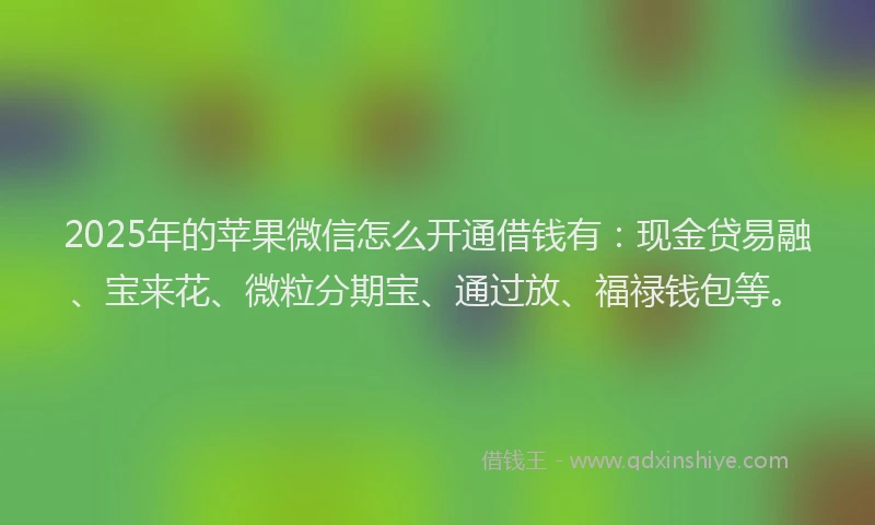 2025年的苹果微信怎么开通借钱有：现金贷易融、宝来花、微粒分期宝、通过放、福禄钱包等。