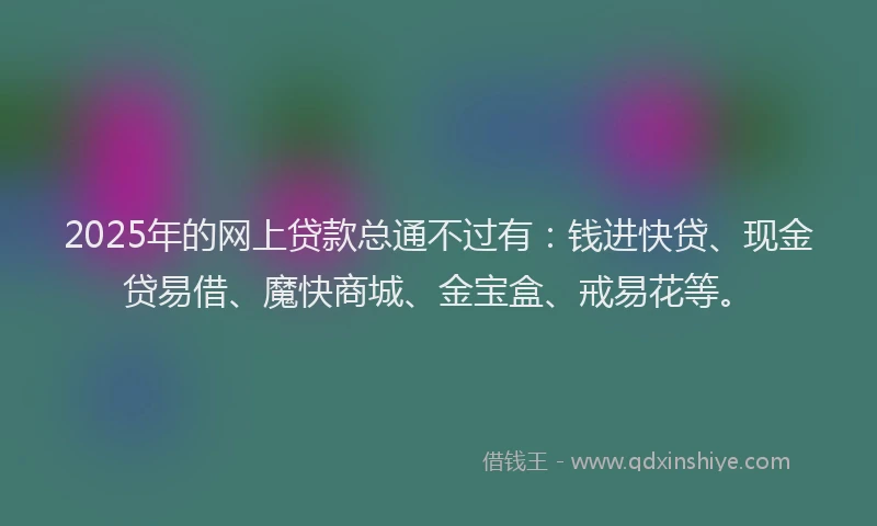 2025年的网上贷款总通不过有：钱进快贷、现金贷易借、魔快商城、金宝盒、戒易花等。