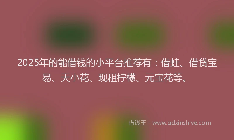 2025年的能借钱的小平台推荐有：借蛙、借贷宝易、天小花、现租柠檬、元宝花等。