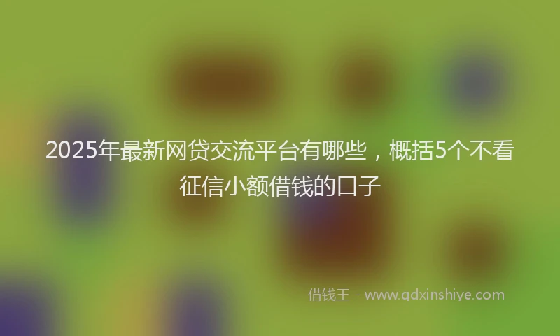 2025年最新网贷交流平台有哪些，概括5个不看征信小额借钱的口子