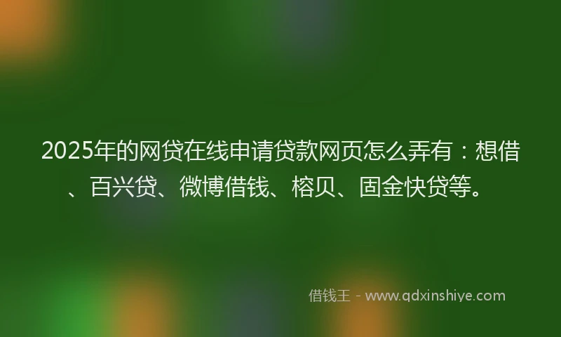 2025年的网贷在线申请贷款网页怎么弄有：想借、百兴贷、微博借钱、榕贝、固金快贷等。