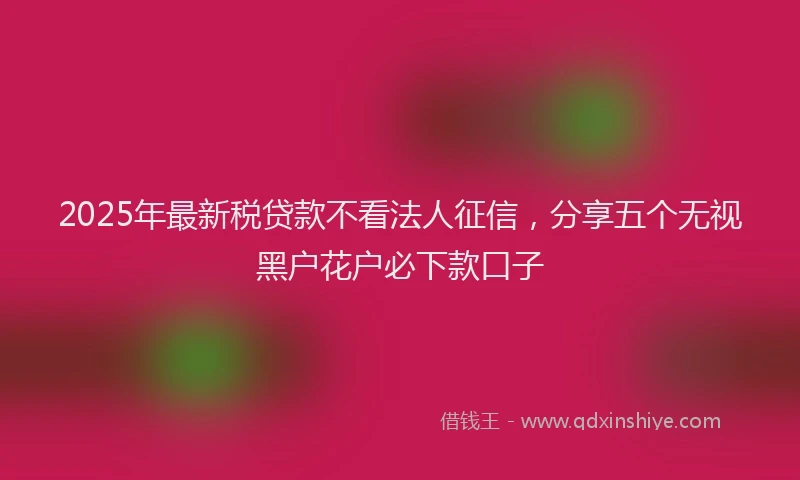 2025年最新税贷款不看法人征信，分享五个无视黑户花户必下款口子