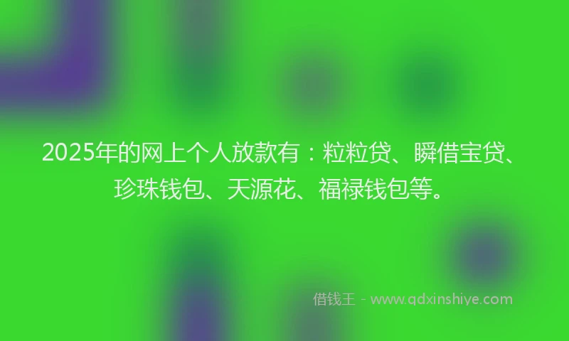 2025年的网上个人放款有：粒粒贷、瞬借宝贷、珍珠钱包、天源花、福禄钱包等。