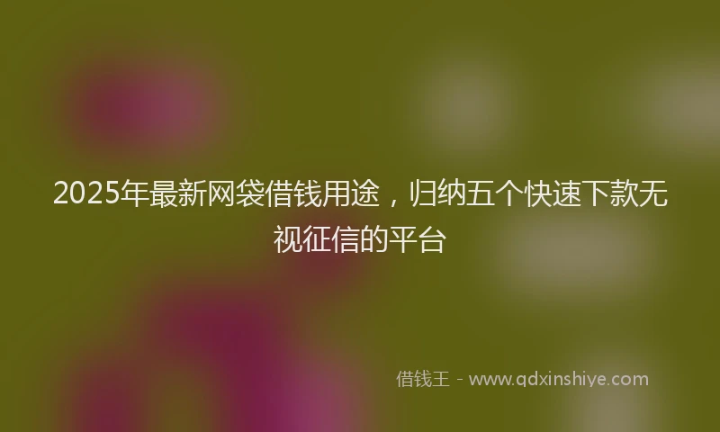 2025年最新网袋借钱用途，归纳五个快速下款无视征信的平台