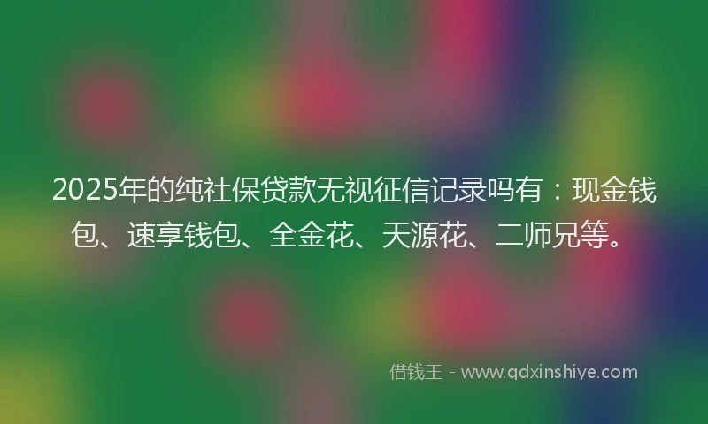 2025年的纯社保贷款无视征信记录吗有：现金钱包、速享钱包、全金花、天源花、二师兄等。