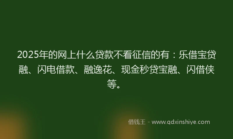 2025年的网上什么贷款不看征信的有：乐借宝贷融、闪电借款、融逸花、现金秒贷宝融、闪借侠等。