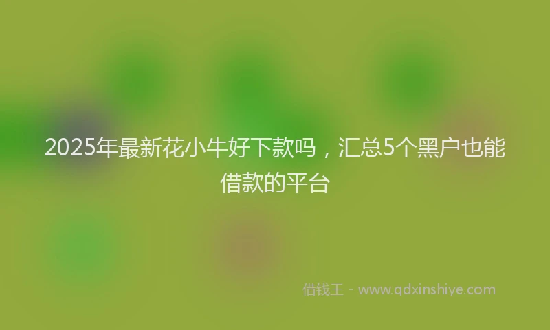 2025年最新花小牛好下款吗，汇总5个黑户也能借款的平台