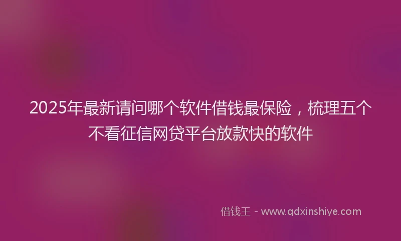 2025年最新请问哪个软件借钱最保险，梳理五个不看征信网贷平台放款快的软件
