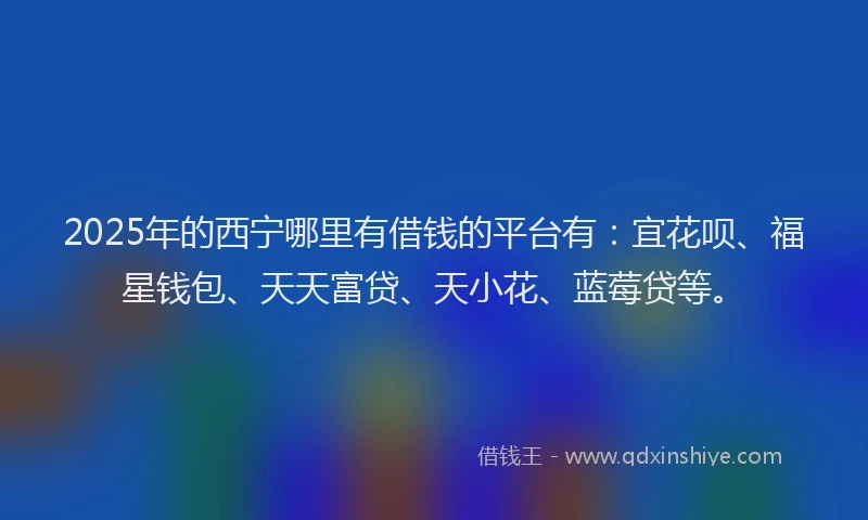 2025年的西宁哪里有借钱的平台有：宜花呗、福星钱包、天天富贷、天小花、蓝莓贷等。