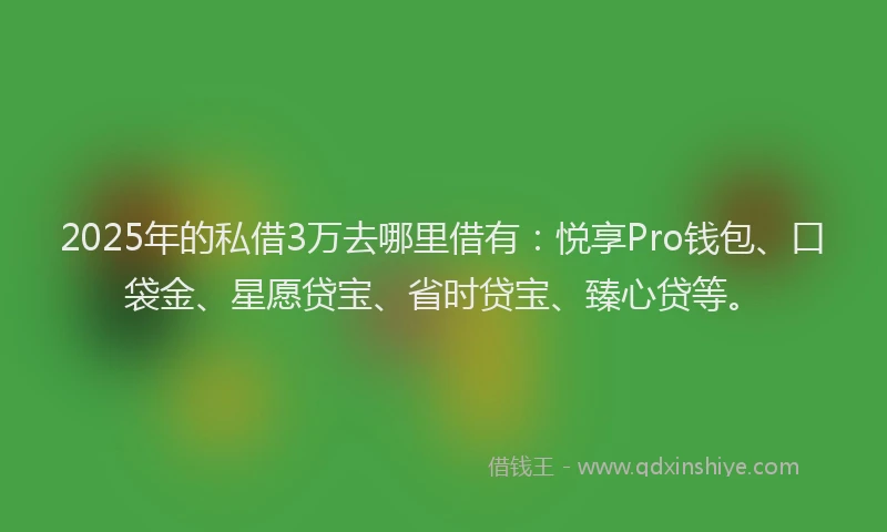 2025年的私借3万去哪里借有：悦享Pro钱包、口袋金、星愿贷宝、省时贷宝、臻心贷等。